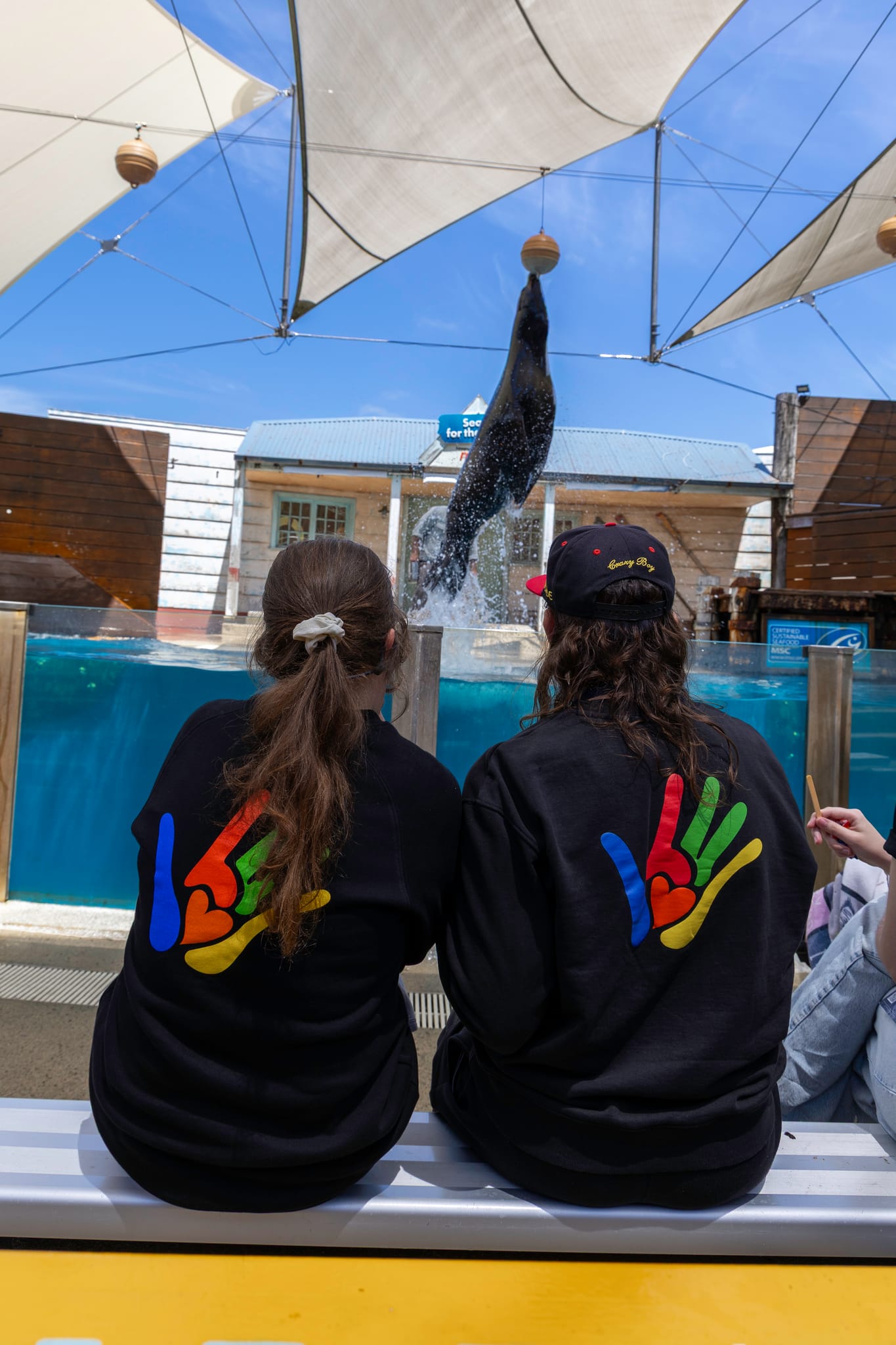 What Ability participants watching a seal show at an aquarium